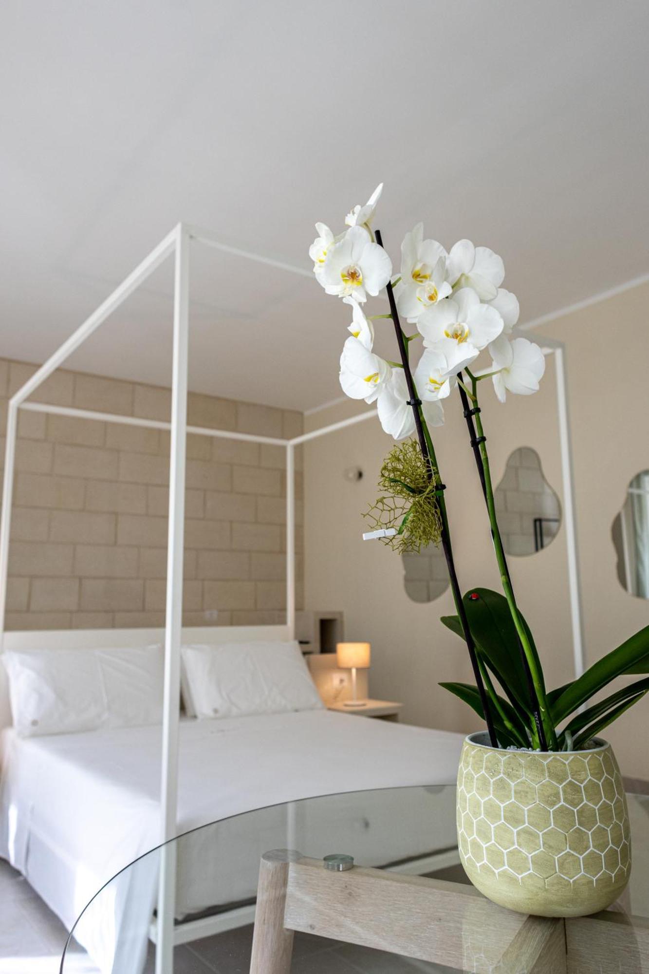 Oronti Accommodations Lecce Dış mekan fotoğraf